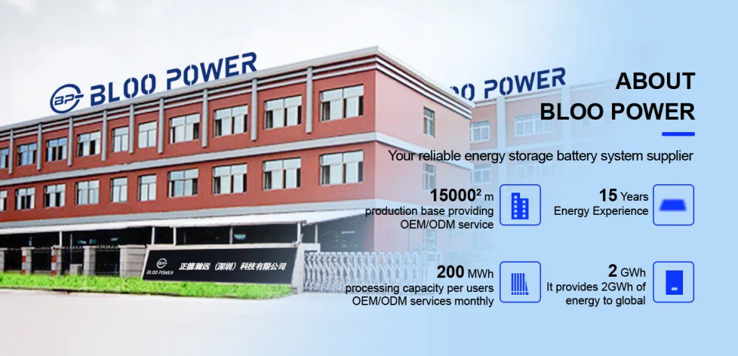 Bloopower 15kwh Electric BMS Chargers House Supply at Home on Grid Phosphate Polymer off Grid Home for Wind Energy Storage Battery