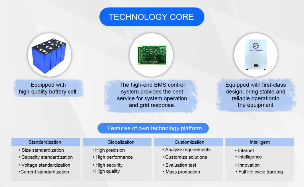 Bloopower 15kw 15kwh 200ah 400 Ah 48 Volt for Home Lighting Residental 5.12kwh Electric BMS Chargers House Supply at Home on Grid Battery Pack